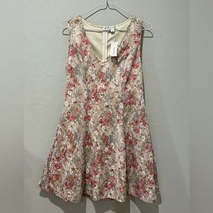 Francesca’s Mini Floral Lace Dress